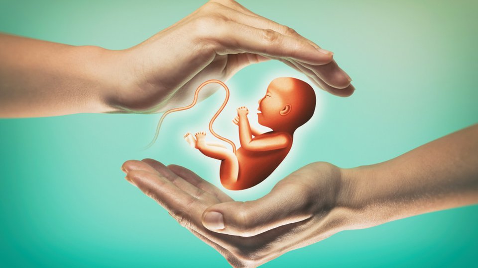 In Vitro Fertilization (IVF)